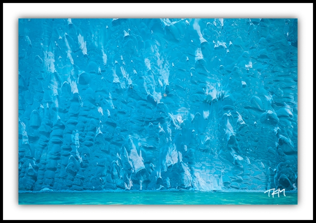 Dawes Glacier Iceberg